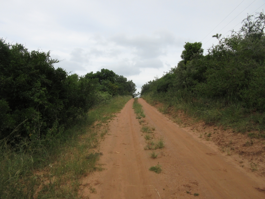 0 Bedroom Property for Sale in Bathurst Eastern Cape